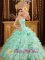 Ferrum Virginia /VA Sweetheart Ruffles Design Apple Green Dress for Quinceanera Cheap fall