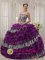 Winter Copper Center Alaska/AK Ruffles Zebra Purple Beading Quinceanera Dress Cheap