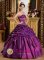 Strapless Pick-ups Purple Cheap Quinceanera Dress Taffeta Embroidery in Portage Indiana/IN for spring