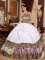 Cheap Summer Leopard White Strapless Puffy Dress For Wasilla Alaska/AK Quinceanera