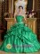 Cheap Winter Acworth Georgia/GA Pick-ups Appliques Spring Green Cheap Quinceanera Dress Taffeta Beading