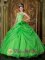 Cheap Fall DeSoto Texas/TX Appliques Floral Spring Green Quinceanera Dress Organza Strapless