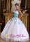 Homestead Florida/FL Sweetheart White and Blue Quinceanera Dress Appliques Organza